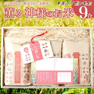 【ふるさと納税】<薫る神様のお米 奉納米 縁起米 想い札付き 3合×3袋(桐箱入)> 贈答用 受験生や大切な人への贈り物に◎ 希少米 香り米 奇跡の復活 ふさなり 栽培期間中、化学農薬化学