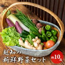 越知産市の季節の野菜セット 産地直送 旬野菜 野菜セット ...