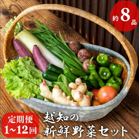 【ふるさと納税】越知町 季節の野菜セット　産地直送　旬野菜　野菜セット 回数　選べる　野菜定期便 　野菜詰め合わせ 旬の時期にお届け 2回目以降、着日時間指定可能【冷蔵】高知野菜　農家支援 食料自給率UP