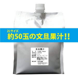【ふるさと納税】たっぷりぶんたん果汁