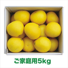 【ふるさと納税】【2026年発送】岡林農園の(家庭用)土佐文旦(約5kg/8～12玉) 栽培期間中 農薬不使用 フルーツ 果物 新鮮 産直 土佐 高知名産 高知県 越知町 柑橘 仁淀川 柑橘 先行予約