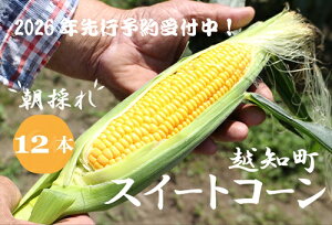 �y�ӂ邳�Ɣ[�Łz�y2026�N���� ��s��t�z�y���Ԍ���z�R������̒��̂�@�X�C�[�g�R�[���@��s��t ��� �Ƃ����낱�� �g�E�����R�V ���ʌ��� ���Ԍ��� �l�C ���m�� �z�m�� ��������