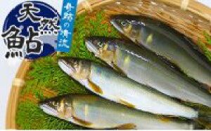 yӂ邳Ɣ[Łzi2025Nstjmm̓VR@500g@VR@Fނ@m@zm@m@@VN@Y@@