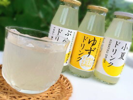 【ふるさと納税】柑橘ジュースセット（3種類×各4本）