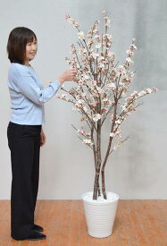 【ふるさと納税】春にピッタリ！吉野桜3本立（造花）GW-964