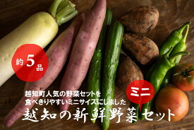 【ふるさと納税】越知産市の季節の野菜ミニセット　産地直送　旬野菜