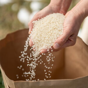 yӂ邳Ɣ[Łzl\쌹̐炩Ȑňl\쐅n@܂Y