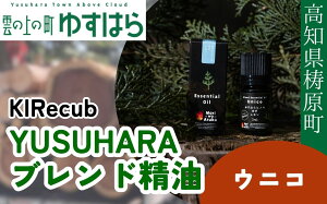 yӂ邳Ɣ[ŁzYUSUHARAuh@EjR