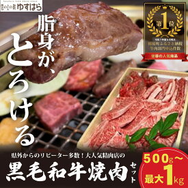 【ふるさと納税】低温でも脂身がとろける梼原町産黒毛和牛 丸かじり焼肉セット（1kg）【GA02】牛肉 焼肉 焼き肉 やきにく 国産 高知県産 冷凍便