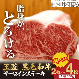 【ふるさと納税】低温でも脂身がとろける梼原町産黒毛和牛 王道サーロインステーキ（2枚）【GA04】ステーキ すてーき ステーキ肉 すてーき肉 牛肉 国産 高知県産 冷凍便