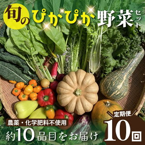 【ふるさと納税】農薬化学肥料不使用 雲の上ガーデンのぴかぴか野菜セット(10回お届け)季節にあわせて10品目前後を毎月お届け【L003】季節 旬 詰め合わせ 採れたて 新鮮 産地直送 高知県