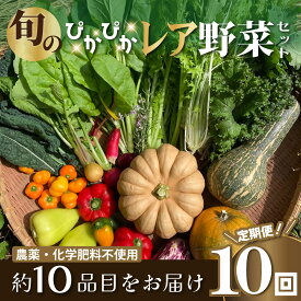 【ふるさと納税】農薬化学肥料不使用 雲の上ガーデンのぴかぴか野菜セット（10回お届け）季節にあわせて10品目前後を毎月お届け【L003】季節 旬 詰め合わせ 採れたて 新鮮 産地直送 高知県産 冷蔵便 定期便