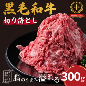 yӂ邳Ɣ[ŁzlJXgň䂷͂狍 R}؂ 300g  a  ܐ؂ IC_ mY