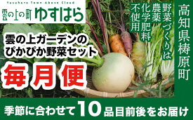 【ふるさと納税】農薬化学肥料不使用 雲の上ガーデンのぴかぴか野菜セット（5回お届け）季節にあわせて10品目前後を毎月お届け【L002】季節 旬 詰め合わせ 採れたて 新鮮 産地直送 高知県産 冷蔵便 定期便