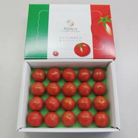 【ふるさと納税】【先行予約・2024年1月】シュガートマト ビアンコ08（糖度8度以上） 1kg 高糖度 フルーツトマト