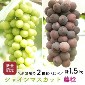 【先行予約・2025年8月末】数量限定 食べ比べ！ シャインマスカットと藤稔 合計約1.5kg 産地直送 農家直送 甘い 大きい 種なし ぶどう 果物