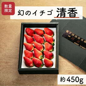 【ふるさと納税】【先行予約・2025年3月】数量限定 いちご 清香 1箱（約450g） 希少品種 限定品 苺 産地直送 農家直送 甘い 大きい 果物