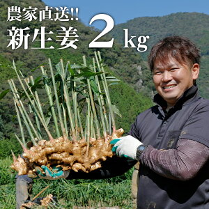 yӂ邳Ɣ[Łzys\E2025N11zVI 2kg@m I 傤 _ƒ Ԍ VVEK { H̐V傤