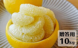 【ふるさと納税】【先行予約・2026年1月】土佐文旦 贈答用 10kg　数量限定 高知県産 文旦 路地 農家直送 早出し