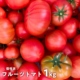 【ふるさと納税】産地直送 個性派 フルーツトマト 1kg　日高みよし農園 大玉トマト 個性派トマト 新鮮トマト 1キロ