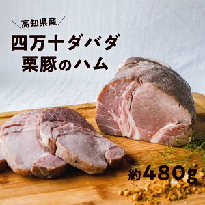 yӂ邳Ɣ[Łzl\_o_ΐUI ni480gj ؓ n Ⓚ uh ؓ