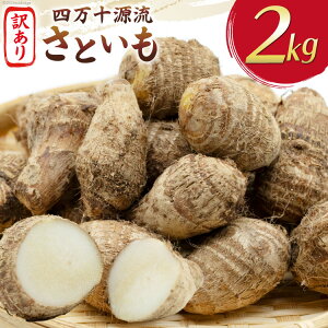 yӂ邳Ɣ[Łz  󂠂  2kg l\͔| [V̐ m Ö쒬 26ac0016] Ƃ TgC