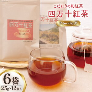 yӂ邳Ɣ[Łz l\geB[obO2.5g×12×6 [G_ m Ö쒬 26am0002] g  eB[obO eB[^C 퉷