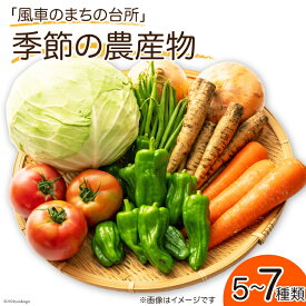 【ふるさと納税】 「風車のまちの台所」 季節の農産物 5〜7種類 [有限会社津野町ふるさとセンター 高知県 津野町 26ar0007] 野菜 季節 お野菜 旬 国産 国産野菜 冷蔵