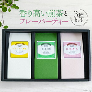 yӂ邳Ɣ[Łz  3Zbg 荂ƃt[o[eB[()Zbg( 50g 䂸E̍ e2g×6 v24gj [ے m Ö쒬 26az0002]    䂸 