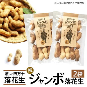 yӂ邳Ɣ[ŁzV@AIl\W{藎Ԑ 肽ăI[_[ ^Fsy-A08