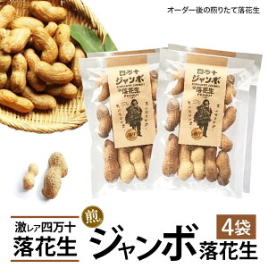 yӂ邳Ɣ[ŁzV@AIl\W{藎Ԑ 肽ăI[_[ ^Fsy-09