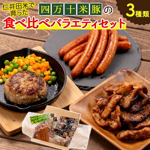 yӂ邳Ɣ[Łz mcĂňu܂ƕē؂̐Hה׃oGeBZbgvv1870g Qjs-22 ؓ ē ؓZbg no[O \[Z[W X^~iЂ