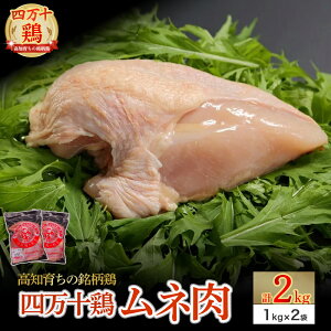 yӂ邳Ɣ[Łz m炿̖{ l\{ ނ˓ 2kg Y Y{   { Ƃɂ  {l {ނ Adf-B31