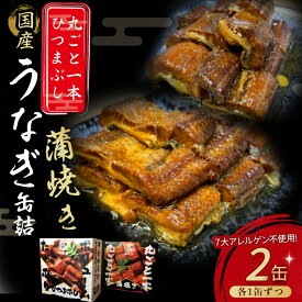 【ふるさと納税】 うなぎ缶詰セット【蒲焼・ひつまぶし】国産 うなぎ 蒲焼 鰻 塩鰻 ウナギ 海産物 ギフト 贈答 贈り物 おつまみ 備蓄 防災 食料 長期保存 非常食 Esu-76