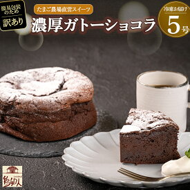 【ふるさと納税】【簡易包装】たまご農場直営スイーツ！ガトーショコラ5号 ホール／Gbn-54 ガトーショコラ チョコレート チョコ 洋菓子 お菓子 高知スイーツ 高知デザート