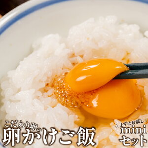 【ふるさと納税】卵が苦手な子どもも食べられた!生臭くないおいしい卵を味わう卵かけご飯ミニセット(卵6個×2P、お米2合×1P、醤油×1本、塩×1P)【お届け日指定可能】たまご 玉子 鶏卵 生卵