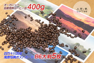 yӂ邳Ɣ[ŁzyI[KjbNR[q[400gz{yʐ^ƂBel\여B6唻|XgJ[h5z^Lip-03