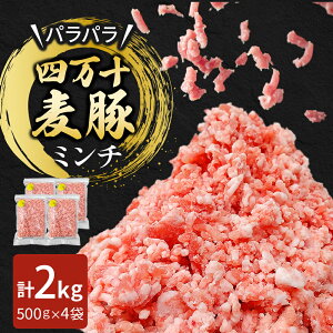 yӂ邳Ɣ[Łzl\ pp~` Iׂe 1kgi500g×2܁j`2kgi500g×4܁j싦{Y ؓ  l\ uh ~` ؃~` Ⓚ~` no[O