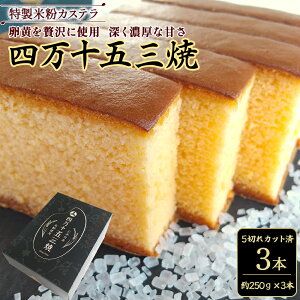 【ふるさと納税】 特製米粉かすてら 四万十五三焼(約250g×2本~3本) カステラ かすてら 米粉カステラ スイーツ 菓子 洋菓子 ギフト スイーツギフト 贈答