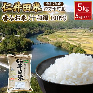 �y�ӂ邳�Ɣ[�Łz�y�X�s�[�h�����z �ߘa7�N�Y�� ���č��X�̍��邨�� 5kg �i�\�a�� 100%�j�V�� �� ���� �R�� �_�� ������� ���� ������ �u�����h�� �ď� ����ā^Bib-07