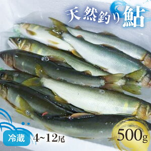 yӂ邳Ɣ[ŁzyjIIցIzl\㗬̓VRނ舼 500gy①4`12zywszEsj-30k  A   싛 Ă ØI ① VR 