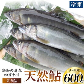 【ふるさと納税】四万十川上流の天然鮎　釣り鮎【冷凍 4～12尾】Esj-40k あゆ アユ 魚 魚介 川魚 塩焼き 鮎 天然 個包装 600g 小分け