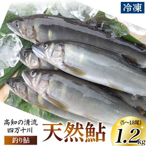 yӂ邳Ɣ[Łzl\㗬̓VR ނ舼yⓀ5`18z1.2kg ywszEsj-42k  A   싛 Ă VR@ 