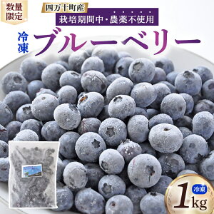 yӂ邳Ɣ[Łz yʌ^2025NYz͔|Ԓ _sgp Ⓚ u[x[ i1kgjQdr-91 u[x[ W [Og X[W[ pC XC[c H 蕨  Mtg 