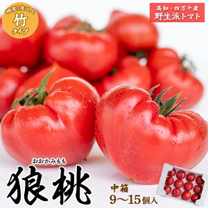 yӂ邳Ɣ[Łzys\^2025N2{甭zl\炿uTv x7xȏ |^Cvi9?15j  Fdf-08 t[cg}g  Mtg v[g g}g Ƃ܂  ʌ