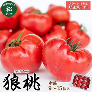 yӂ邳Ɣ[Łzys\^2025N3{甭zl\炿uTv x9xȏ@^Cv i9?15j Fdf-10 t[cg}g g}g Ƃ܂  ʌ Ԍ ʌ