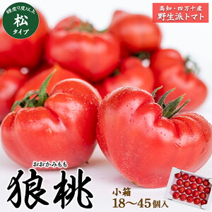 �y�ӂ邳�Ɣ[�Łz�y��s�\��^2026�N3�����{���甭���z�l���\�炿�u�T���v ���x9�x�ȏ� ���^�C�v �����i18����45���j Fdf-09 �t���[�c�g�}�g �g�}�g �Ƃ܂� ��� ���ʌ��� ���Ԍ��� ���ʌ���