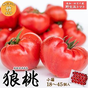 yӂ邳Ɣ[Łzys\^2026N2{甭zl\炿uTv x7xȏ@|^Cvi1845j Fdf-07 t[cg}g  Mtg g}g Ƃ܂  mY l