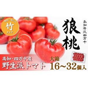 �y�ӂ邳�Ɣ[�Łz�y��s�\��^2�����{���甭���z�l���\�炿�u�T���v ���x7�x�ȏ� �|�^�C�v �唠�i16�`32���j Fdf-11 �t���[�c�g�}�g ���� �M�t�g �v���[���g �g�}�g �Ƃ܂� ��� ���ʌ��� ��