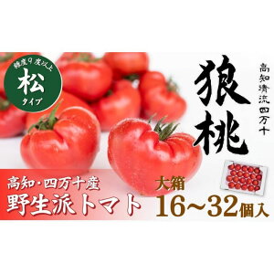 �y�ӂ邳�Ɣ[�Łz�y��s�\��^3�����{���甭���z�l���\�炿�u�T���v ���x9�x�ȏ�@���^�C�v �唠�i16�`32���j Fdf-12 �t���[�c�g�}�g �g�}�g �Ƃ܂� ��� ���ʌ��� ���Ԍ��� ���ʌ���